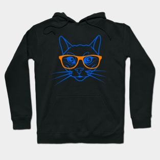 Cute cat in orange and blue Hoodie